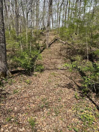 $75,000 | 0 Metcalf Road, Iuka, IL 62849