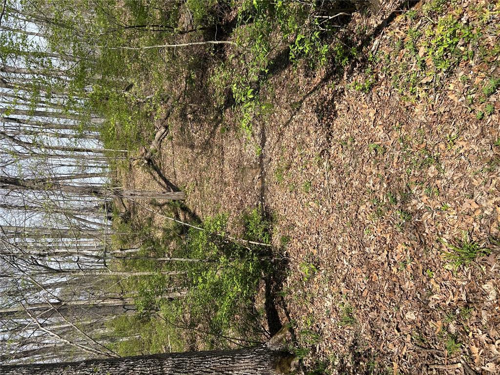 0 Metcalf Road Iuka, IL 62849 - Photo 33 of 37