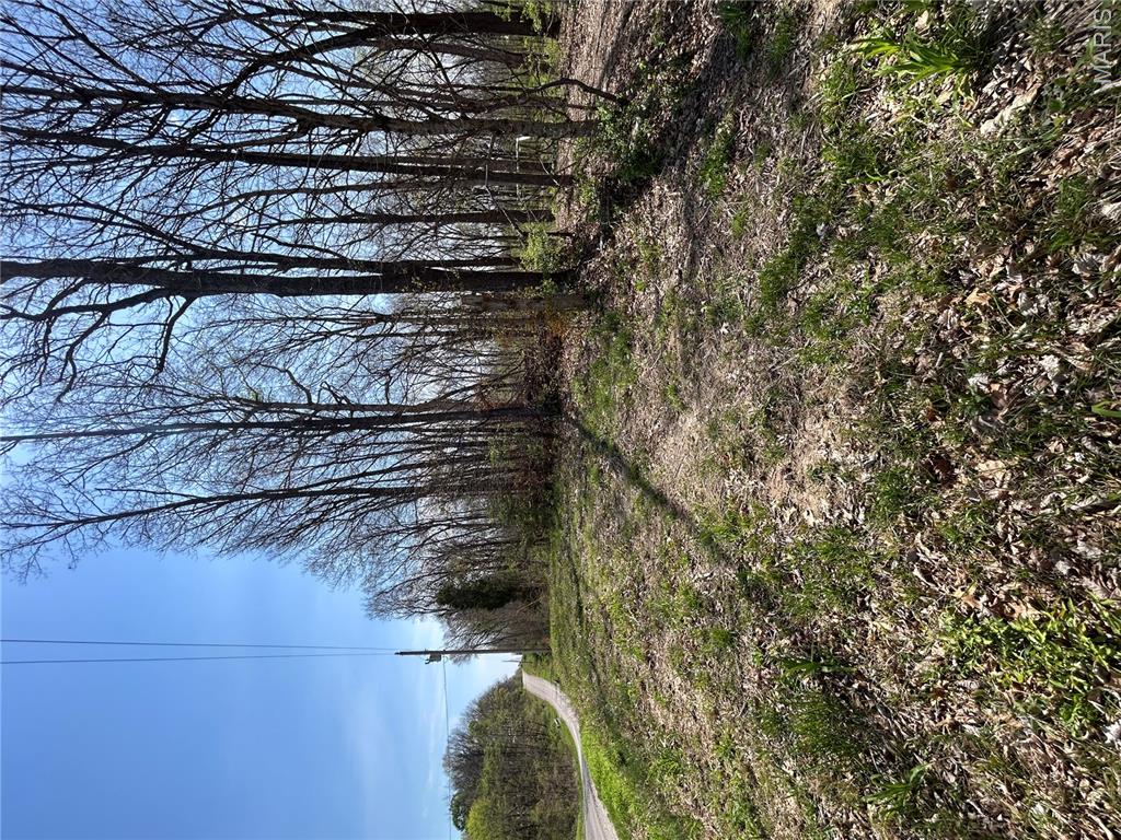 0 Metcalf Road Iuka, IL 62849 - Photo 34 of 37