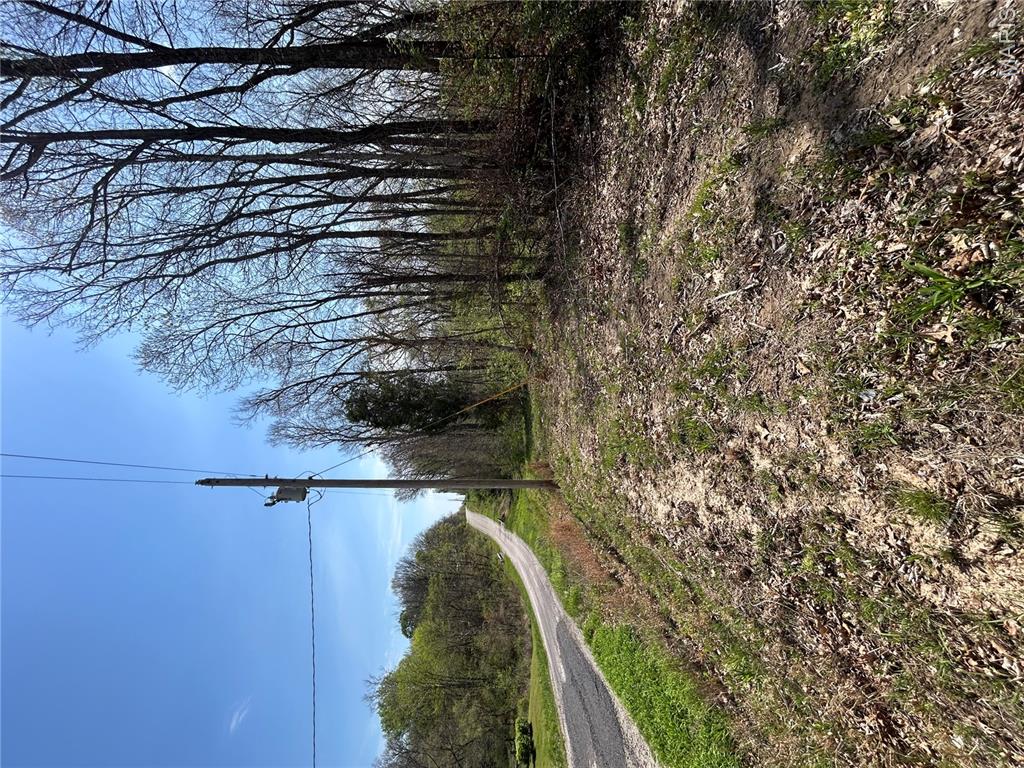 0 Metcalf Road Iuka, IL 62849 - Photo 35 of 37