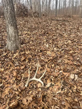 $75,000 | 0 Metcalf Road, Iuka, IL 62849