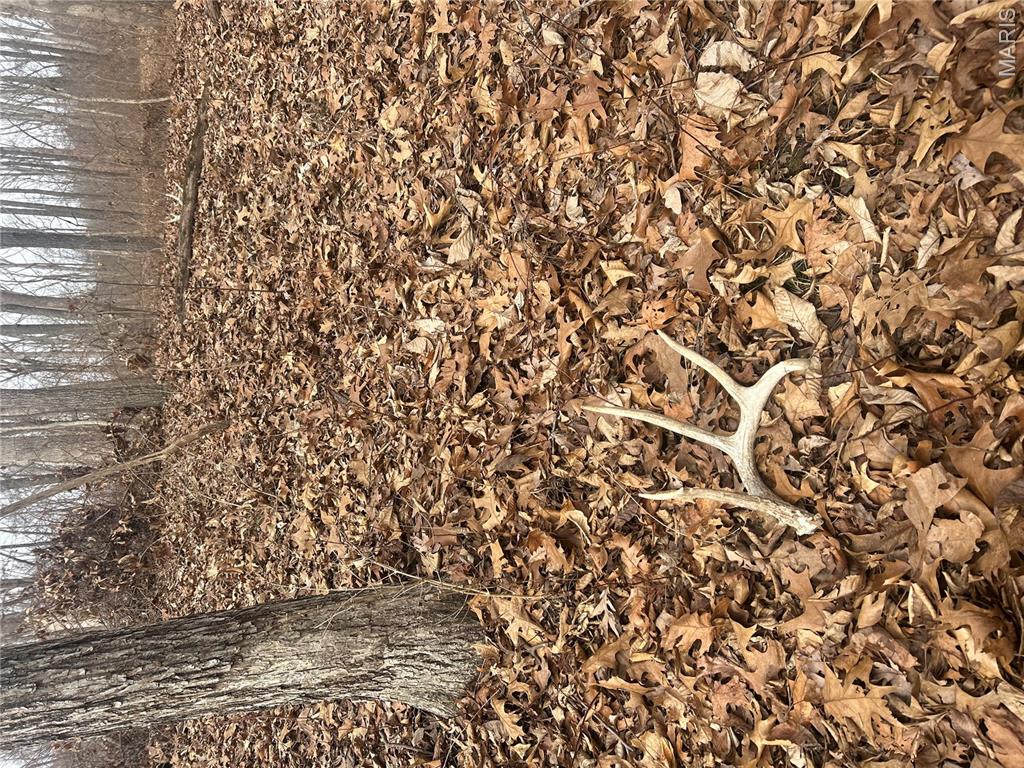 0 Metcalf Road Iuka, IL 62849 - Photo 4 of 37