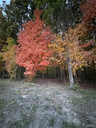 $75,000 | 0 Metcalf Road, Iuka, IL 62849