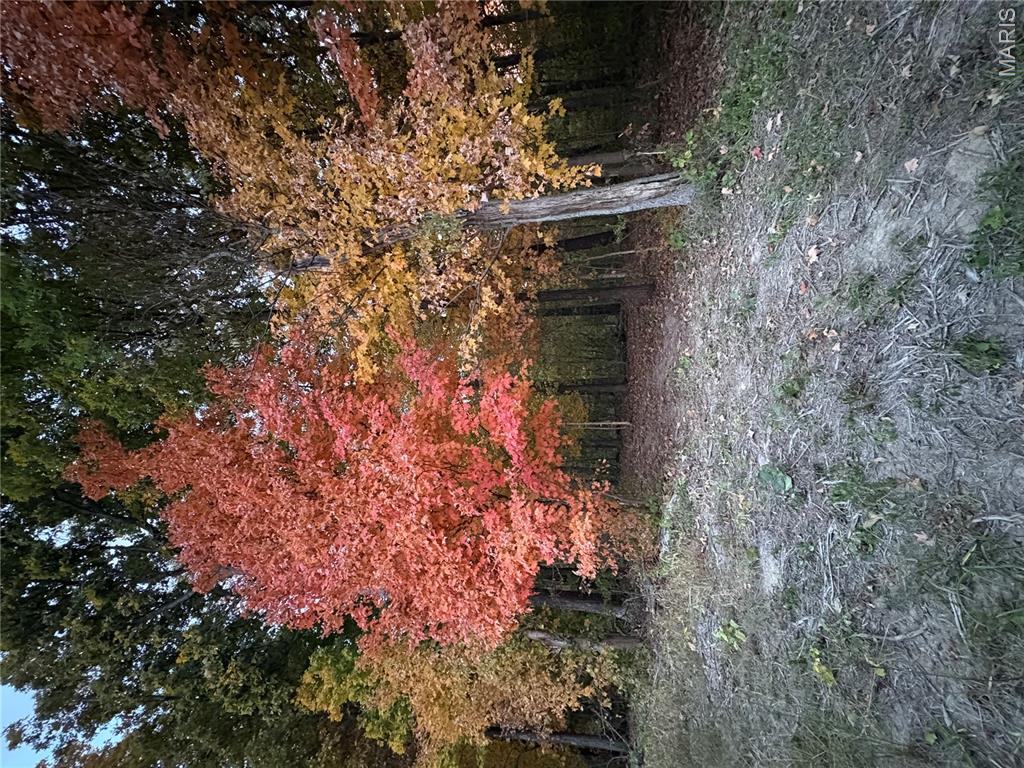 0 Metcalf Road Iuka, IL 62849 - Photo 9 of 37