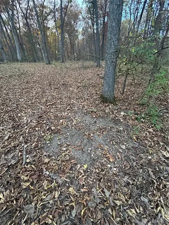 $75,000 | 0 Metcalf Road, Iuka, IL 62849