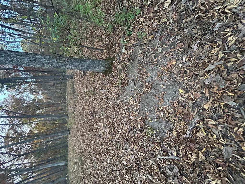 0 Metcalf Road Iuka, IL 62849 - Photo 10 of 37