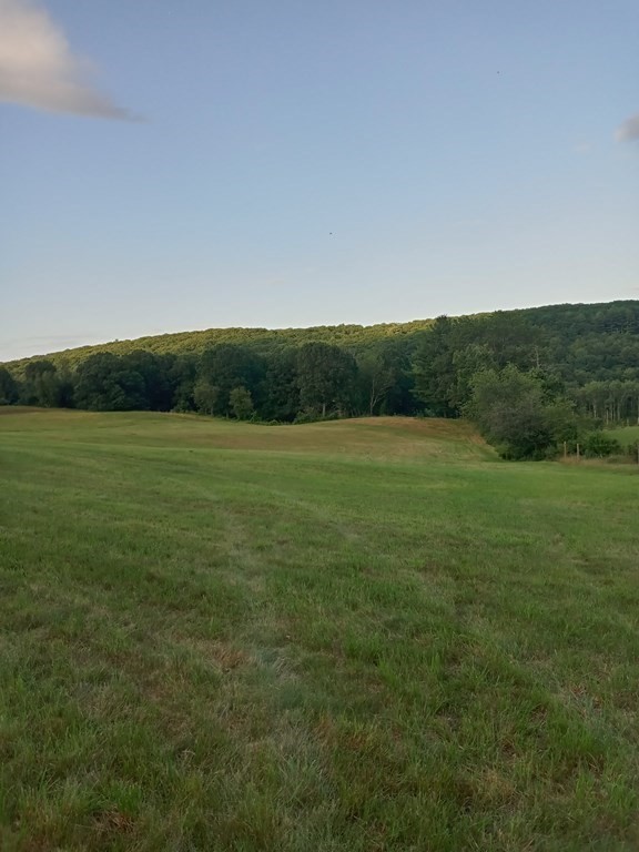 Lot 1 Mountain Road Holyoke, MA 01040 - Photo 5 of 39 Gallery Image 5