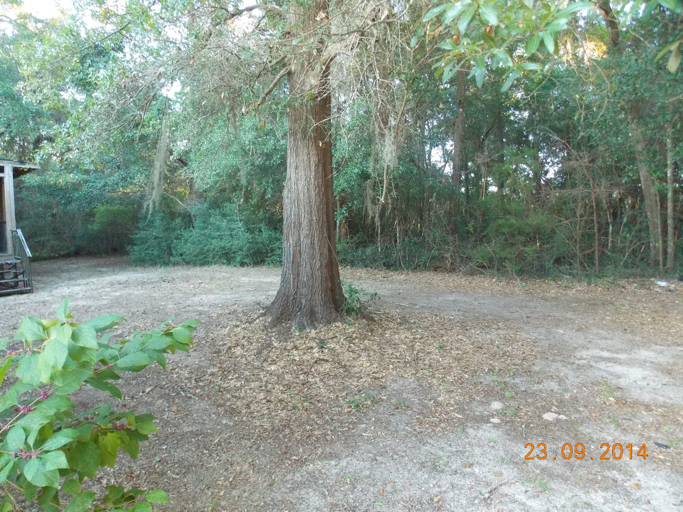 84 Goodwin Creek Road Freeport, FL 32439 - Photo 8 of 23 DSCN0145