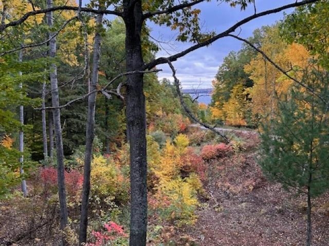6434 Mission Ridge Traverse City, MI 49686 - Photo 62 of 73 1925218-eb9b22f0-96af-4785-b673-ff69ff0193ec.JPG