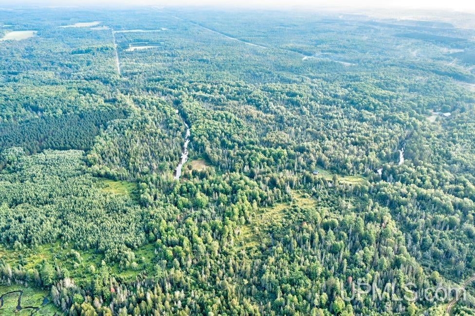 64.84 A Off S15 Road Rapid River, MI 49878 - Photo 14 of 16 Gallery Image 14
