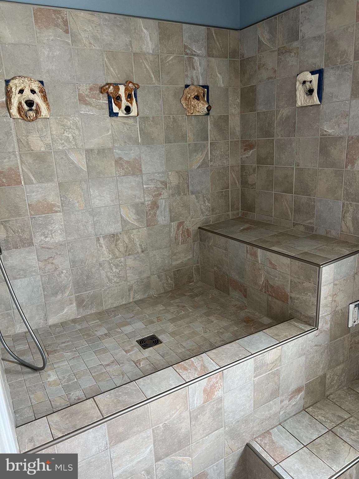 3913 Cap Stine Road Frederick, MD 21703 - Photo 14 of 19 ITS OWN PET SHOWER