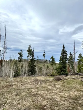 a view of a dry yard