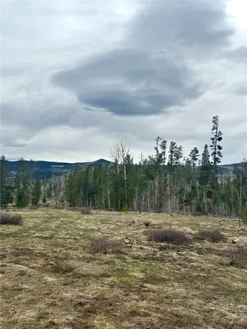 a view of a field with trees in background
