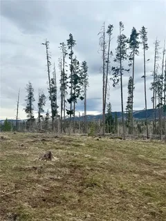 a view of a lake with a large bridge