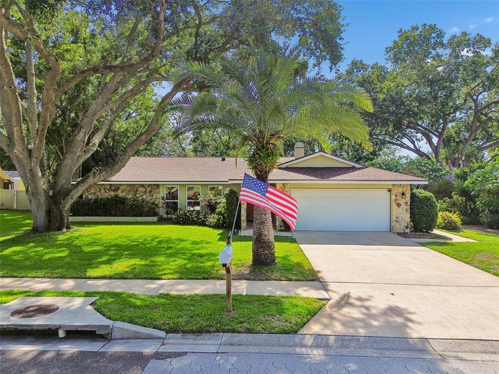 515 Sandy Hook Road Palm Harbor, FL 34683 - Photo 58 of 83 Gallery Image 58