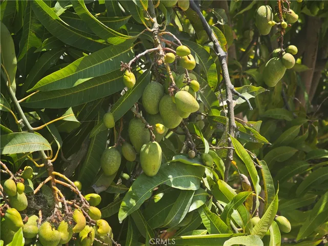 a view of a swimming pool with an outdoor seating