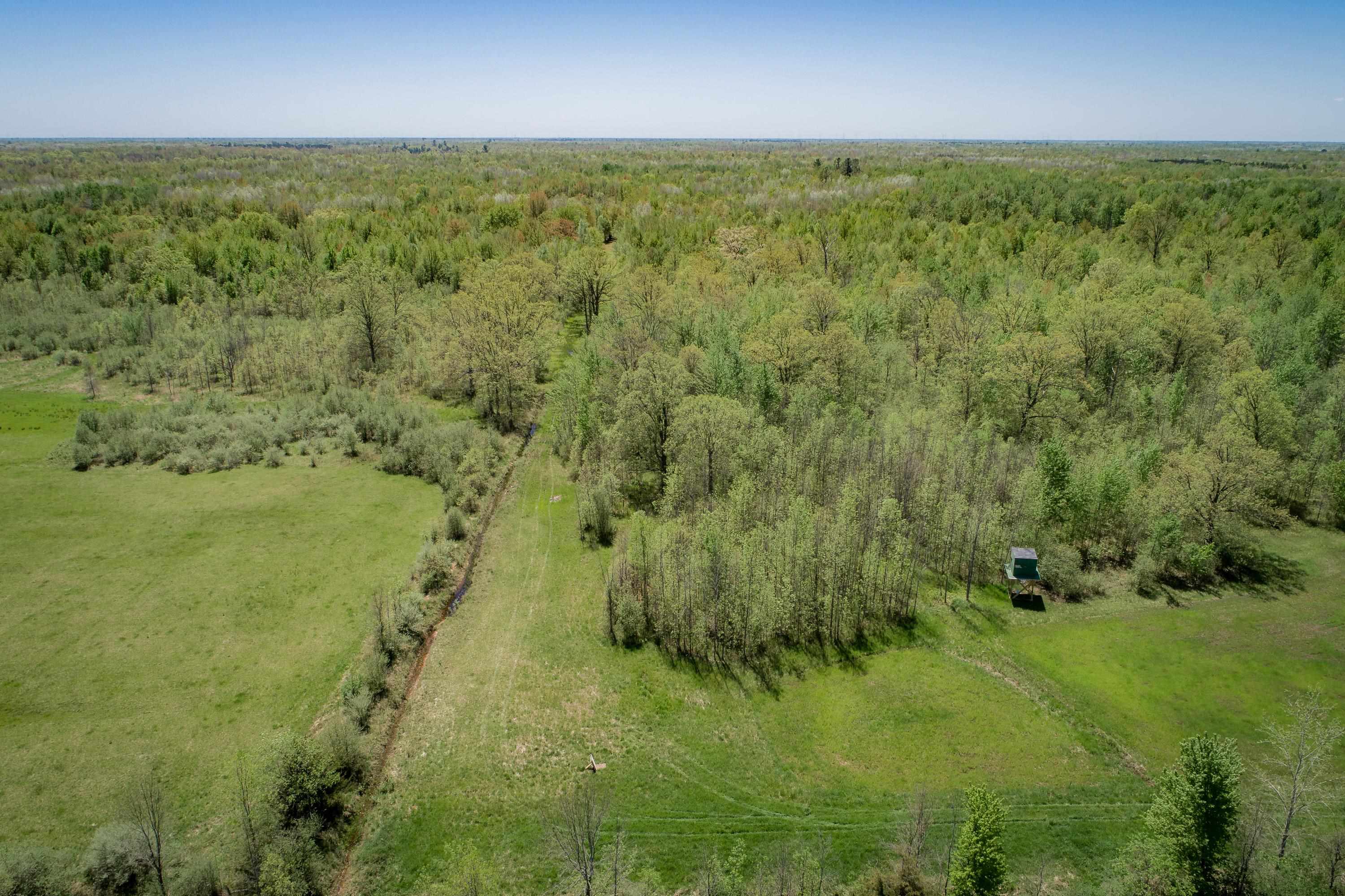2250 North Coleman Road Coleman, MI 48618 - Photo 13 of 66