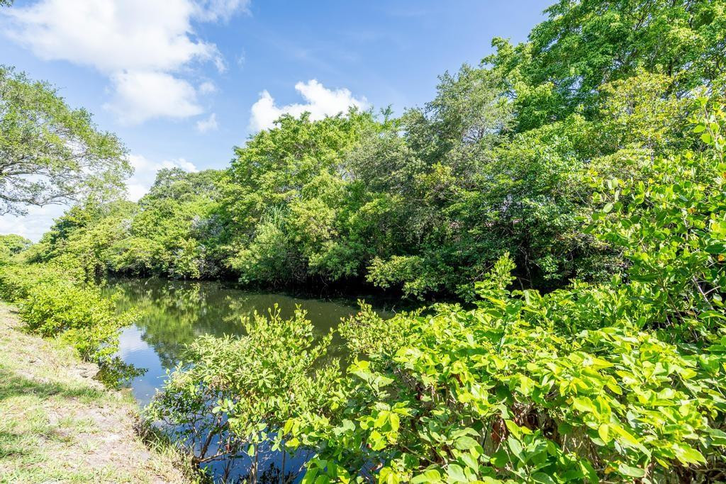3315 Water Oak Drive, Unit 1302 Hollywood, FL 33021 - Photo 45 of 62 Water View of Canal