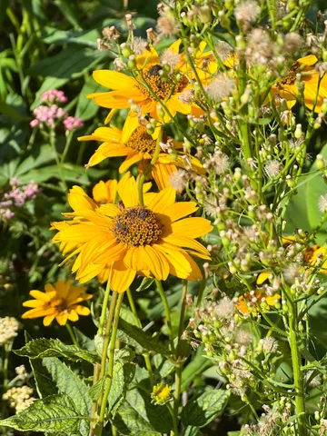 $398,800 | 2019 Whiting Road Northwest, Bemidji, MN 56601