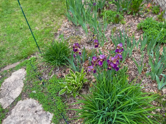 $398,800 | 2019 Whiting Road Northwest, Bemidji, MN 56601