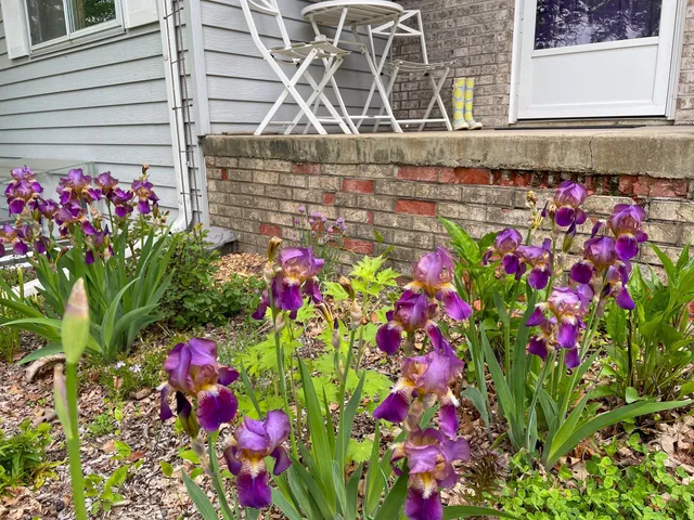 $398,800 | 2019 Whiting Road Northwest, Bemidji, MN 56601