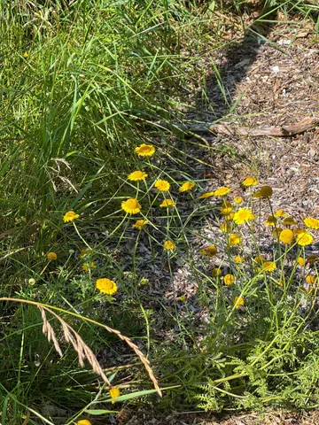 $398,800 | 2019 Whiting Road Northwest, Bemidji, MN 56601