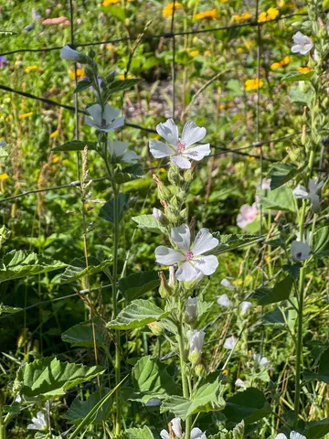 $398,800 | 2019 Whiting Road Northwest, Bemidji, MN 56601