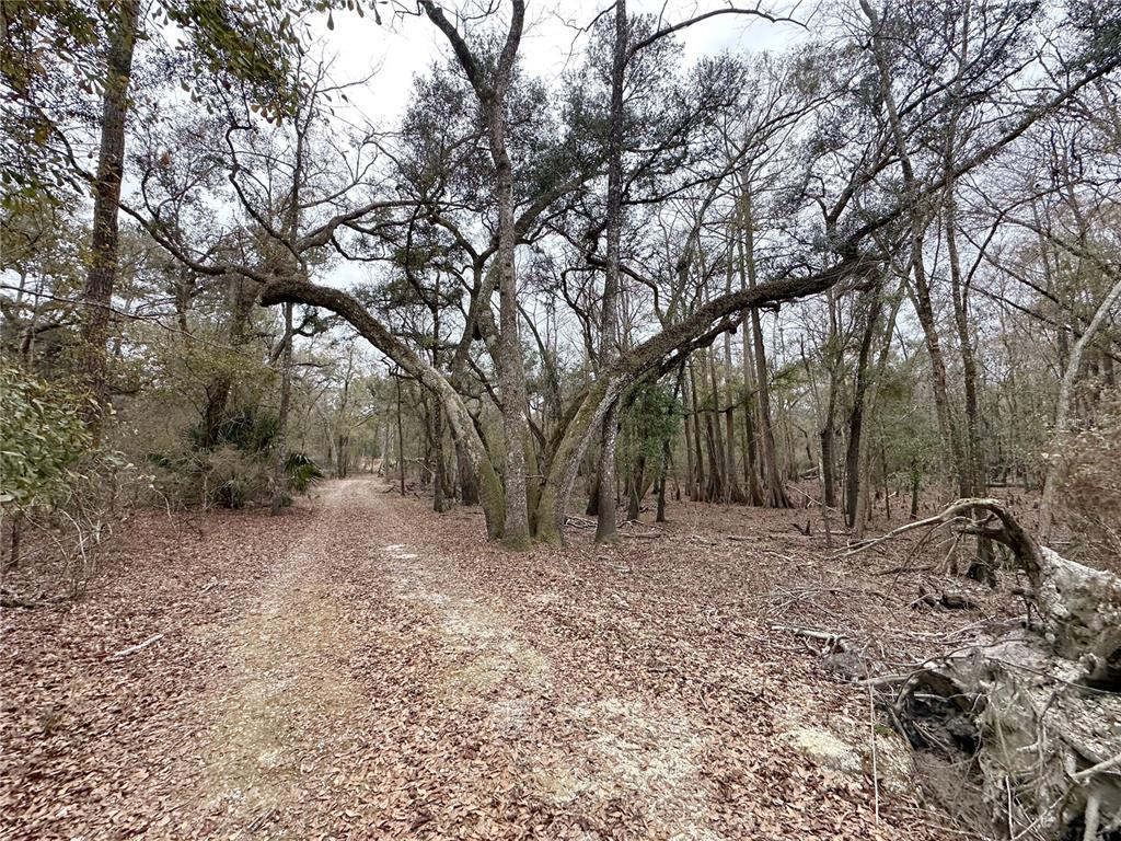 7875 Southwest County Road 344 Bell, FL 32619 - Photo 1 of 1