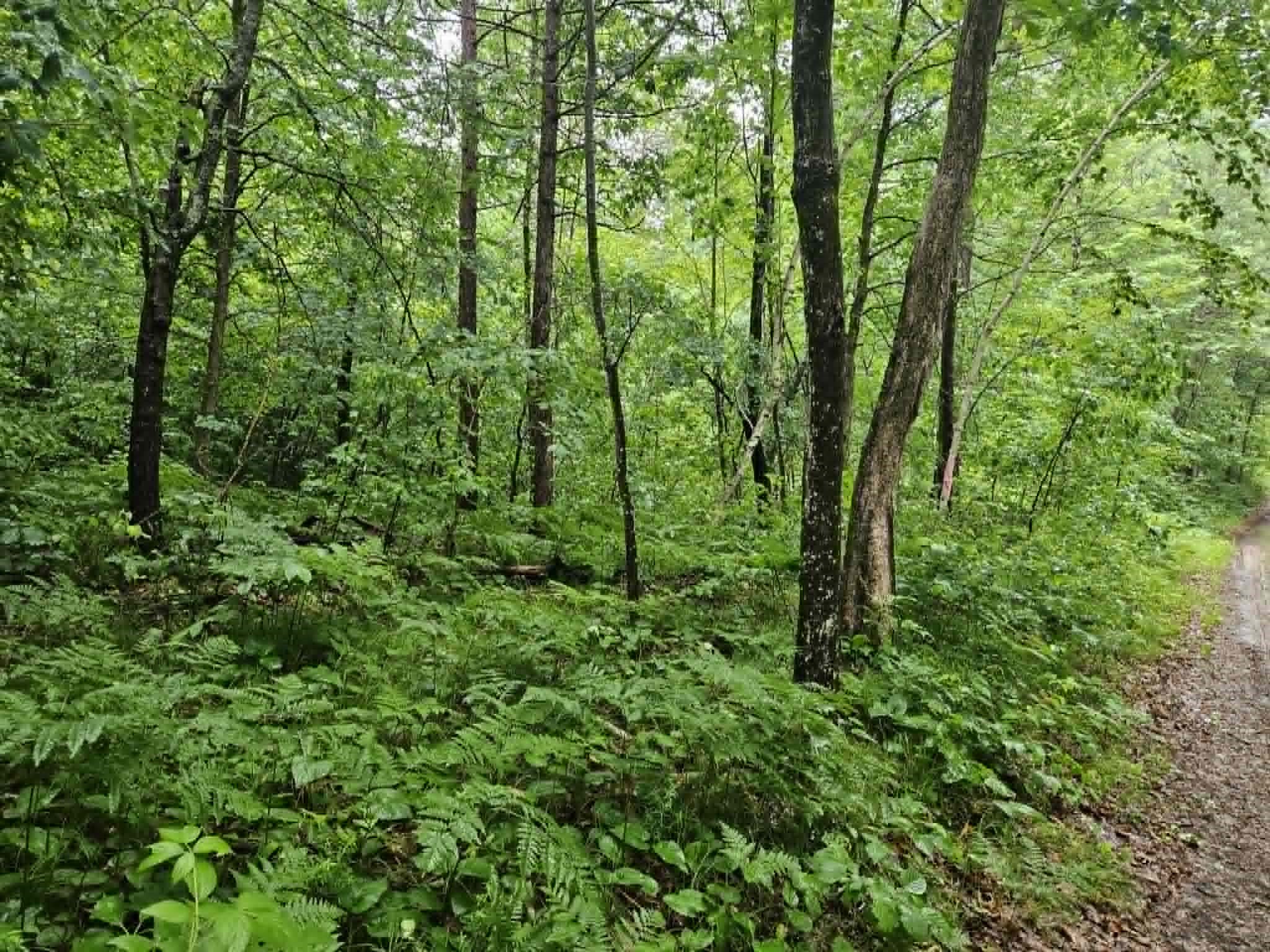 Lot 2 Hilly Lane Spooner, WI 54801 - Photo 1 of 4