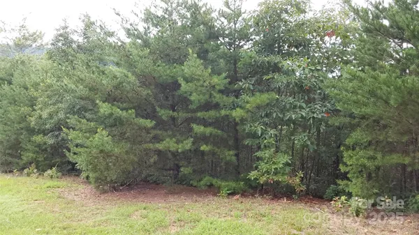 $99,900 | 0 Brighton Drive, Bostic, NC 28018