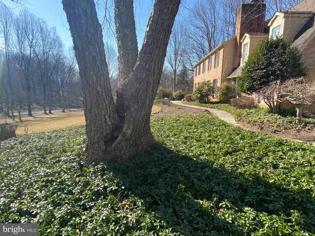 $6,500 | 9701 Georgetown Pike, Great Falls, VA 22066