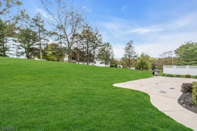 a view of a park with large trees