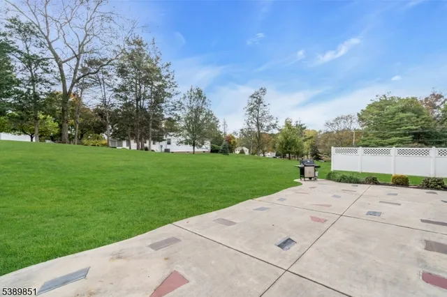 a view of a park with large trees