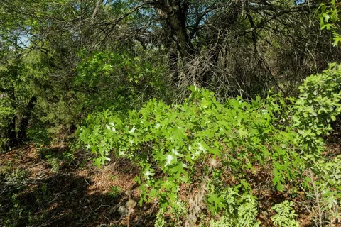 $1,099,000 | 6801 Finklea Cove, Austin, TX 78730