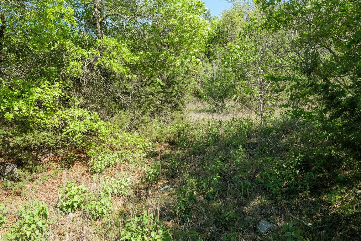 6801 Finklea Cove Austin, TX 78730 - Photo 17 of 34