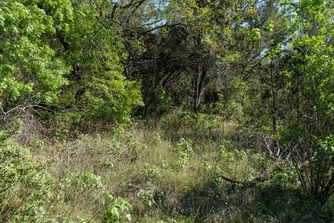 $1,099,000 | 6801 Finklea Cove, Austin, TX 78730