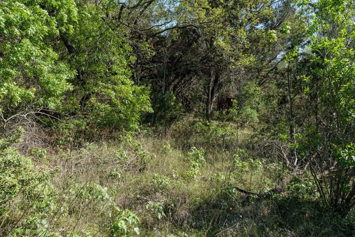 6801 Finklea Cove Austin, TX 78730 - Photo 21 of 34