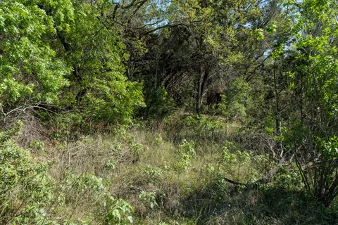 $1,099,000 | 6801 Finklea Cove, Austin, TX 78730