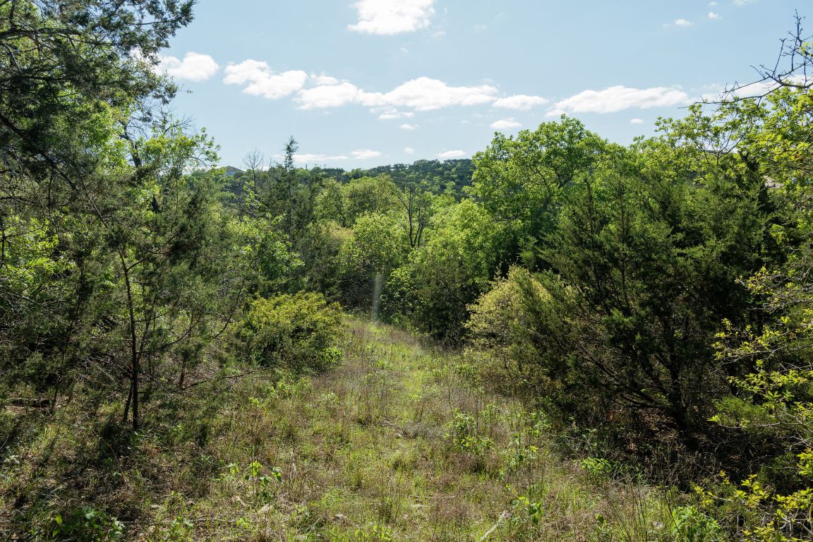 6801 Finklea Cove Austin, TX 78730 - Photo 23 of 34 Peaceful views!