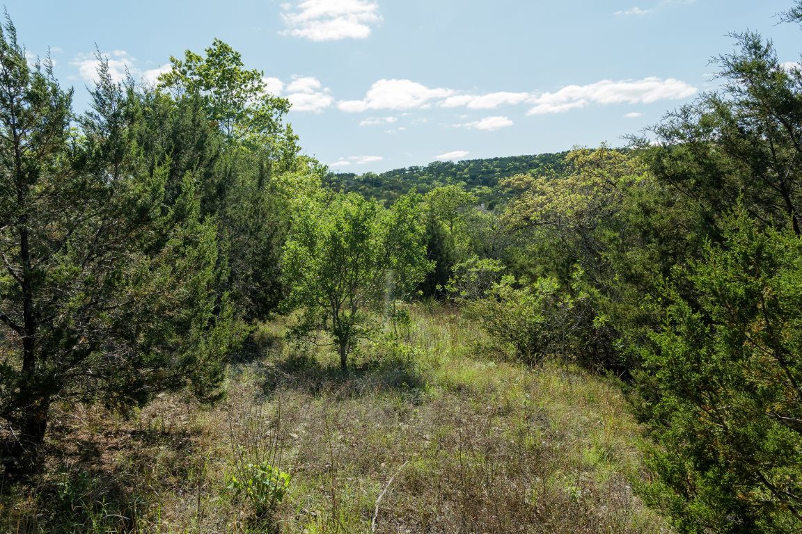 6801 Finklea Cove Austin, TX 78730 - Photo 24 of 34