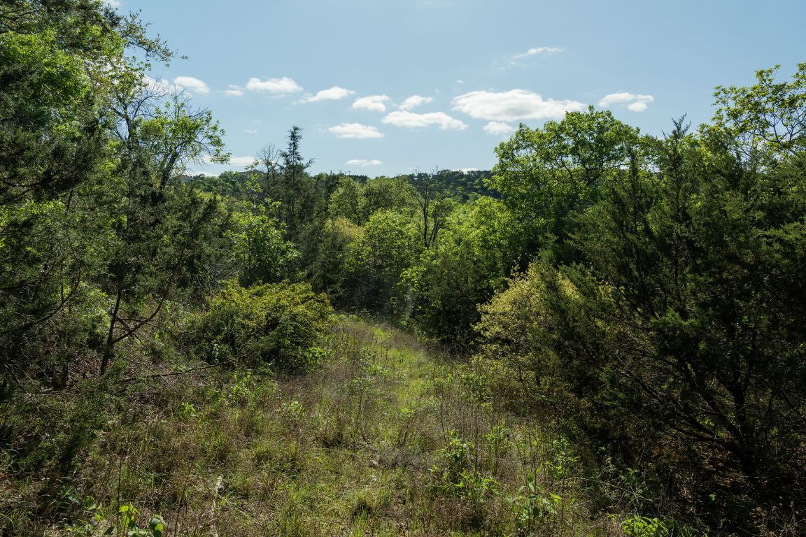 6801 Finklea Cove Austin, TX 78730 - Photo 29 of 34