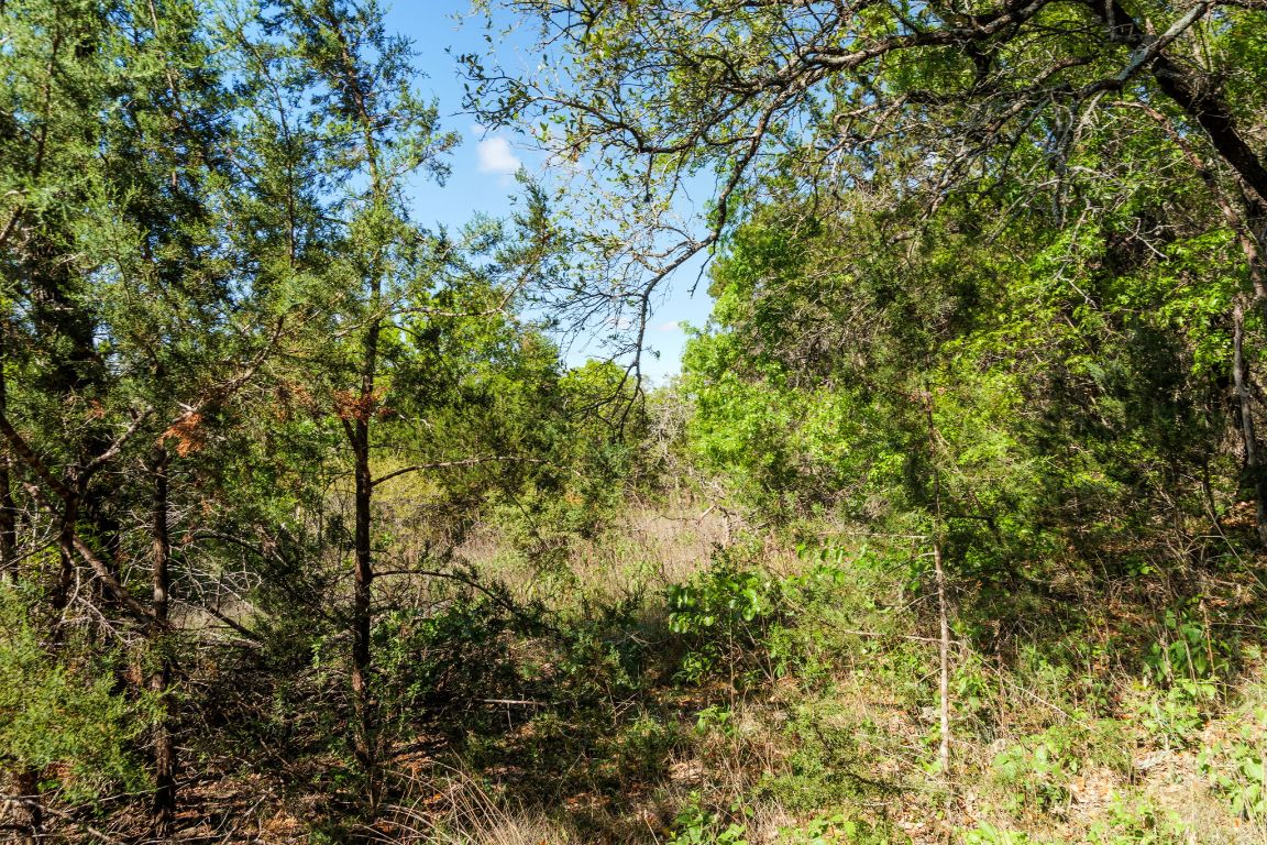 6801 Finklea Cove Austin, TX 78730 - Photo 32 of 34