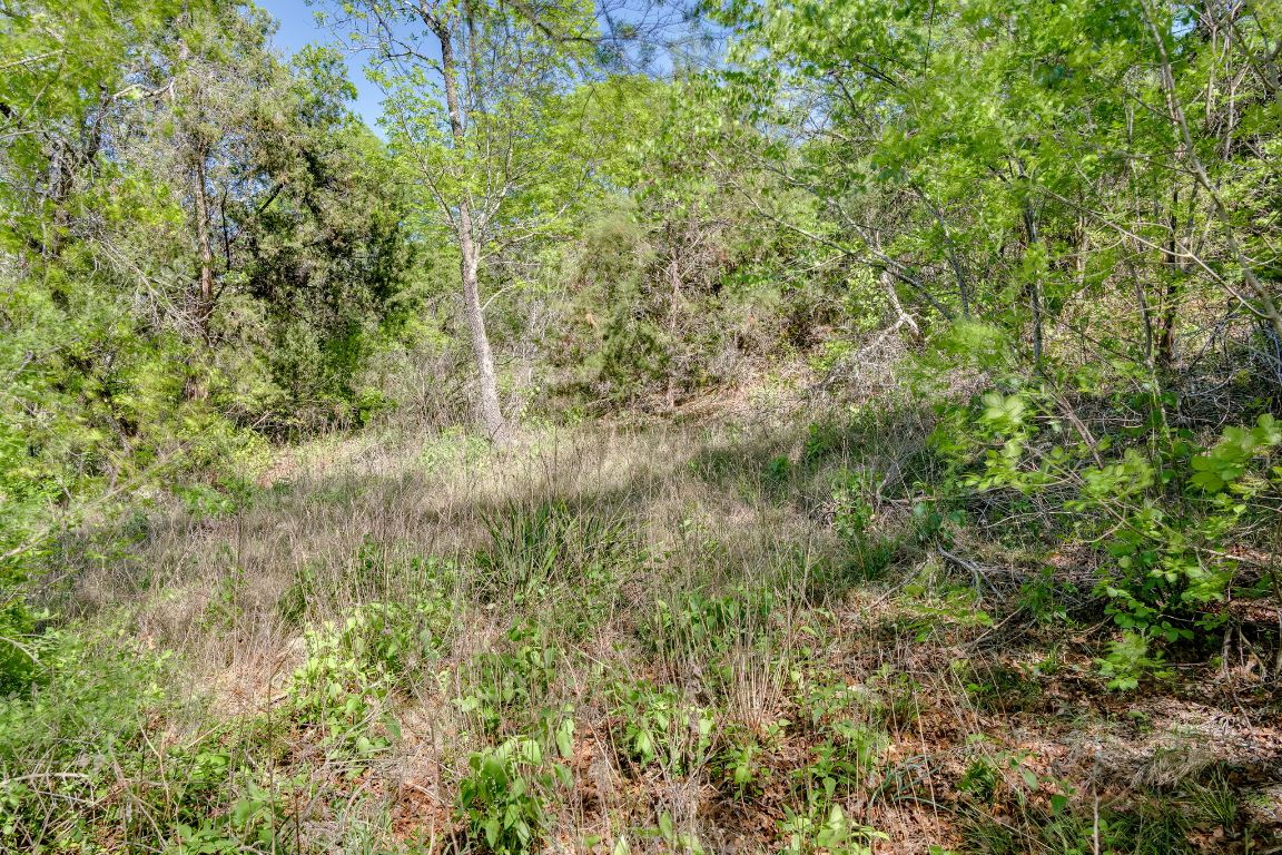 6801 Finklea Cove Austin, TX 78730 - Photo 9 of 34