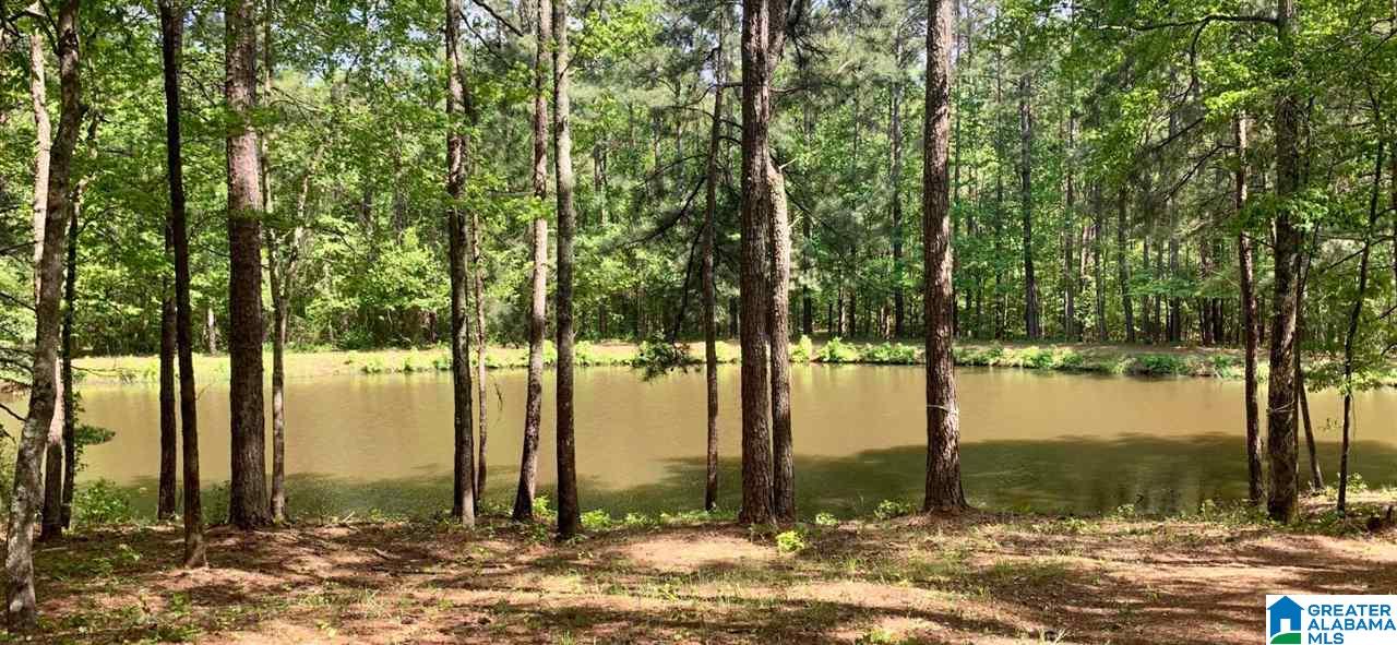 136 Holiday Lane Chelsea, AL 35043 - Photo 35 of 42