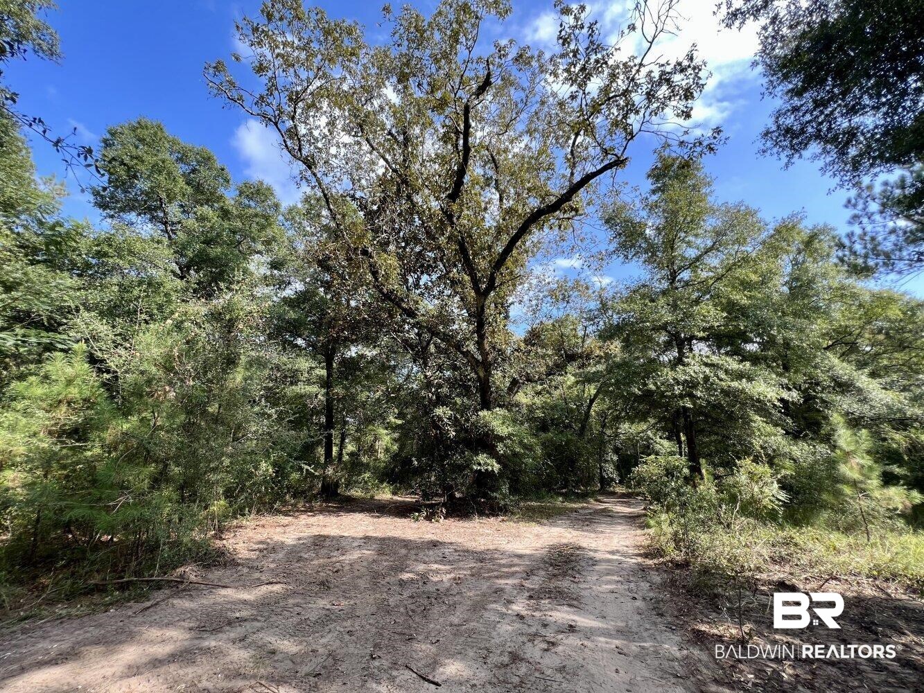 0 Bear Fork Road Mobile, AL 36618 - Photo 5 of 50