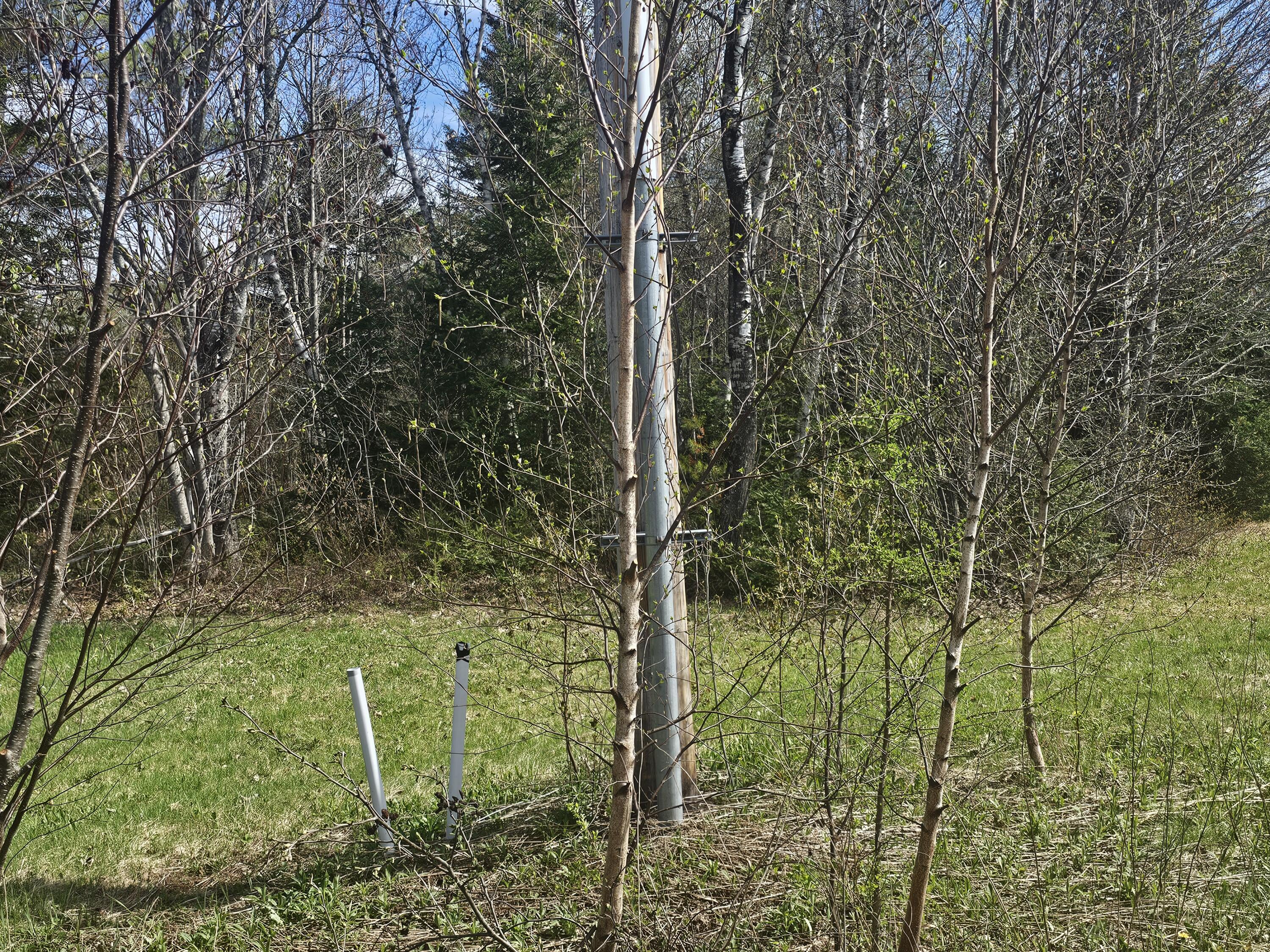 631 Crystal Road Crystal, ME 04747 - Photo 16 of 32 20260516_145748