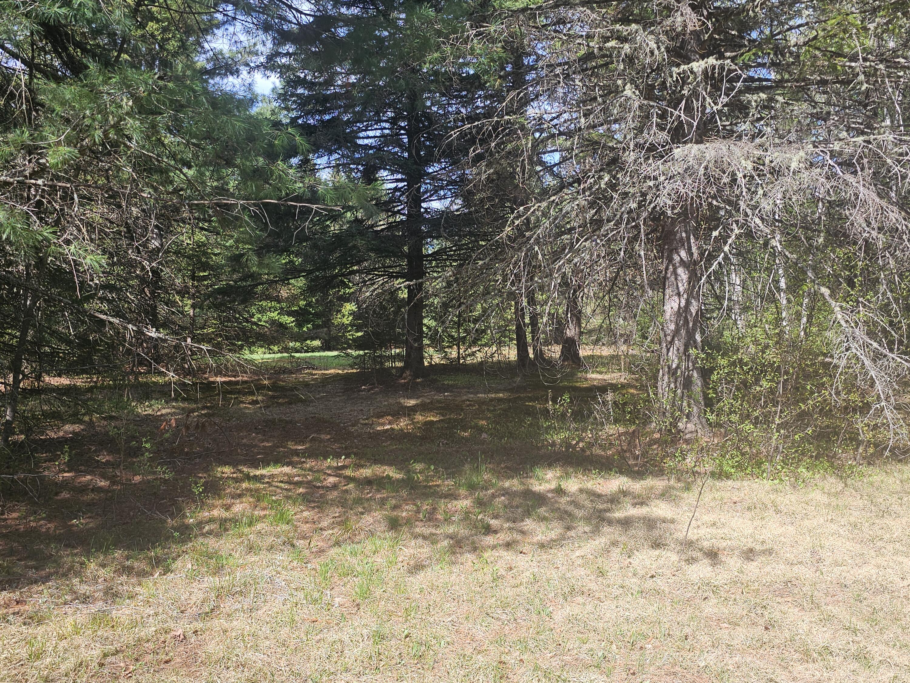 631 Crystal Road Crystal, ME 04747 - Photo 28 of 32 20260516_151536