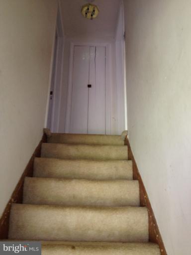 5305 Pole Road Alexandria, VA 22309 - Photo 10 of 11 Interior (General)
