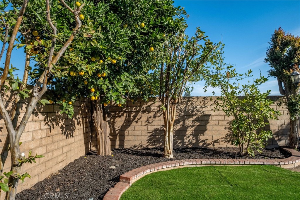 1780 North Azure Street Anaheim, CA 92807 - Photo 58 of 68