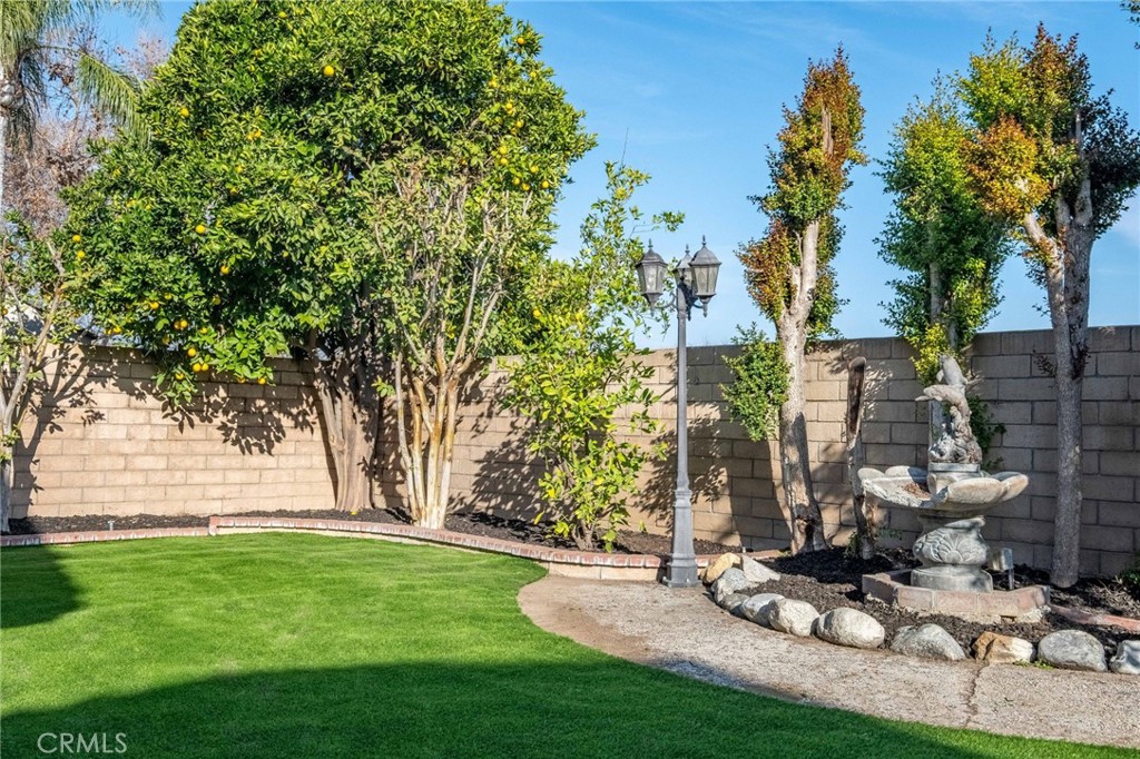 1780 North Azure Street Anaheim, CA 92807 - Photo 60 of 68 a view of a backyard with plants and a garden